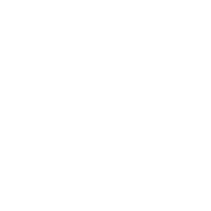 What are different types of coverage under an Auto Insurance Policy?